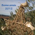 Bonne année 2012 Claude Charier Président du Chœur du Luberon Johan Riphagen directeur musical Vous présentent leurs meilleurs vœux pour 2012, une année en musique et en chantant, avec son 4e Atelier estival...